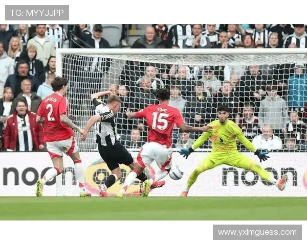 纽卡斯尔vs利兹联：喜鹊主场龙对阵利兹联六轮不败